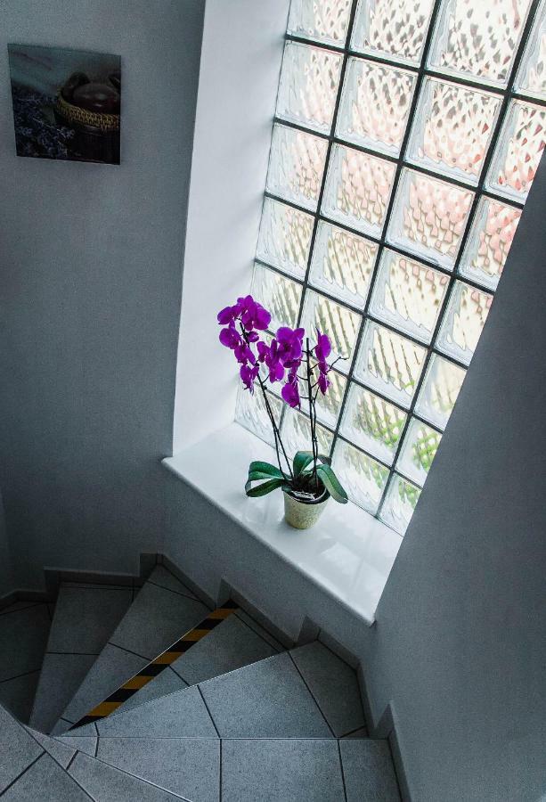 Villa Tara Гданьск Экстерьер фото